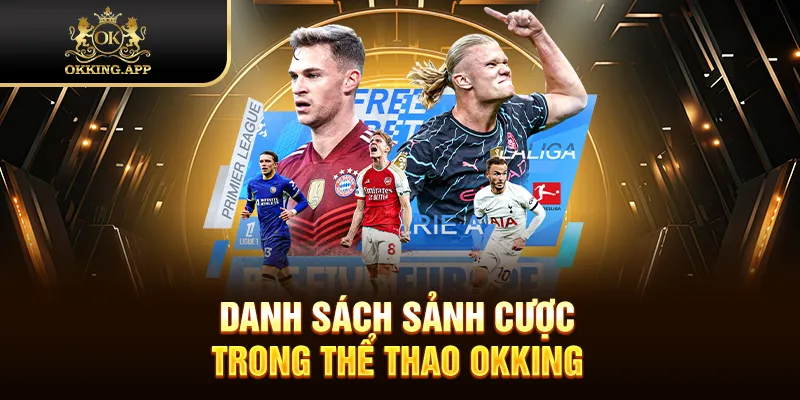 Danh sách sảnh cược trong thể thao OKKING