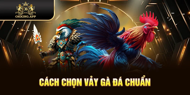 Hướng dẫn cách chọn vảy gà đá đúng đắn