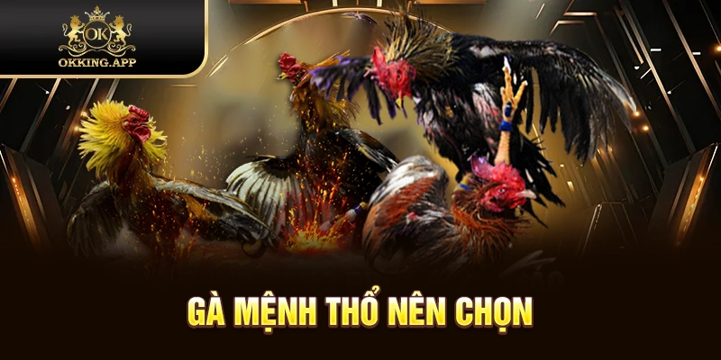 Cách xem hôm nay đá gà màu mạng gì theo từng loại cụ thể