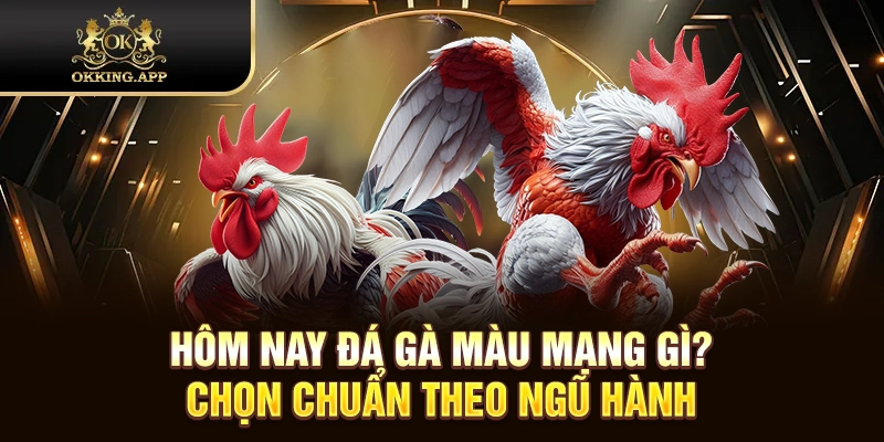 hôm nay đá gà màu mạng gì
