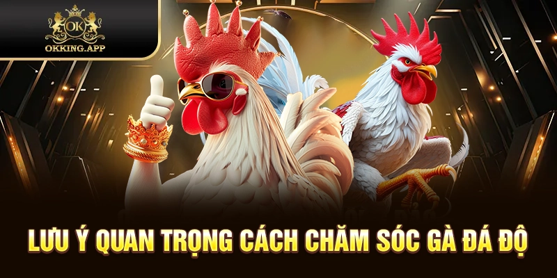 Lưu ý trong quá trình chăm chiến kê của mình