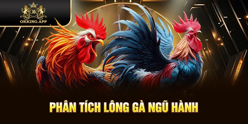 Các dạng sắc mạng theo quy luật ngũ hành