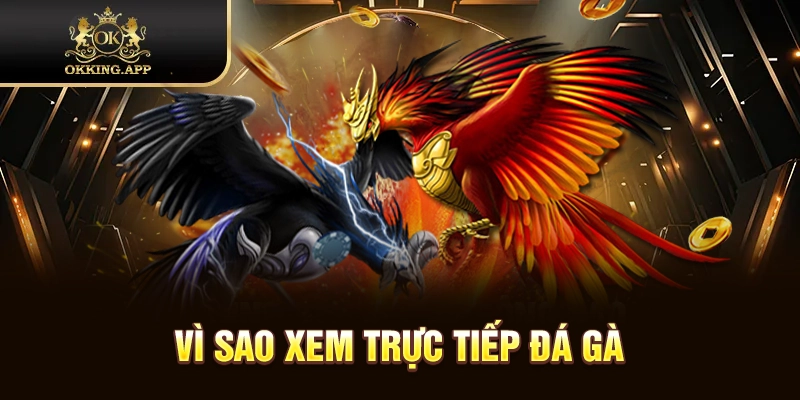 Ưu điểm khi xem ngay bộ môn trực tiếp đá gà